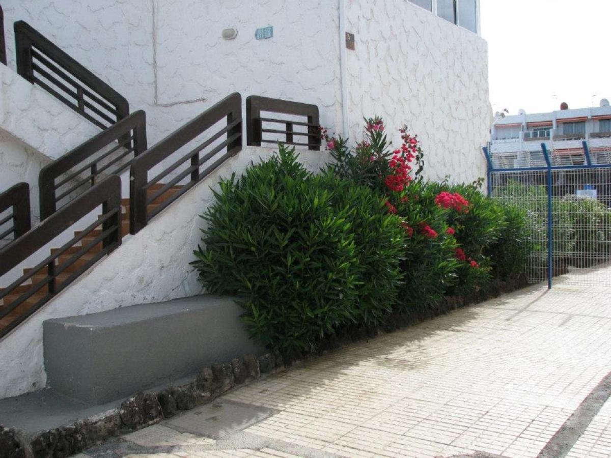 阿罗纳Casa Tavio 3公寓 外观 照片